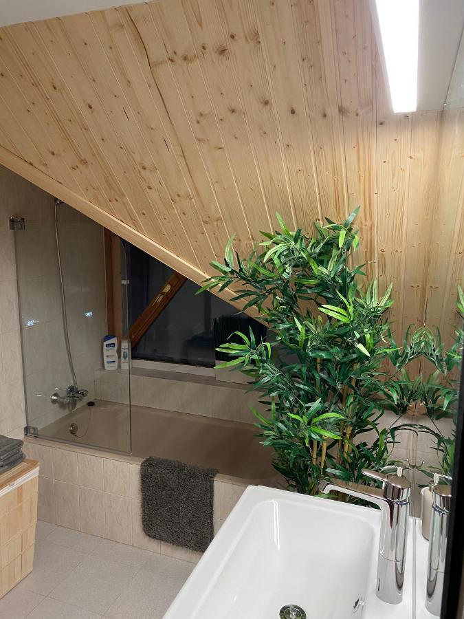 Atico Duplex Reformado Con Vistas A La Montana Apartment Canfranc Bagian luar foto